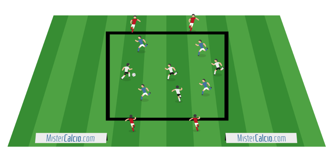 Pettorine Allenamento FIBOGOUP 12pz - Gilet Traspiranti Per Calcio, Basket, Taglie M-XL (115-180+ Cm) - Foto 1