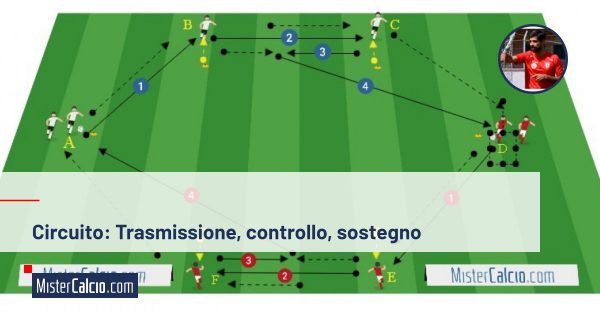 Trasmissione, controllo, sostegno