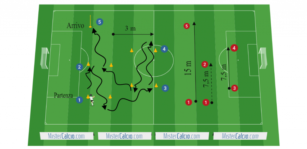 Test di Balsom per velocità multidirezionale (agilità) nel calcio