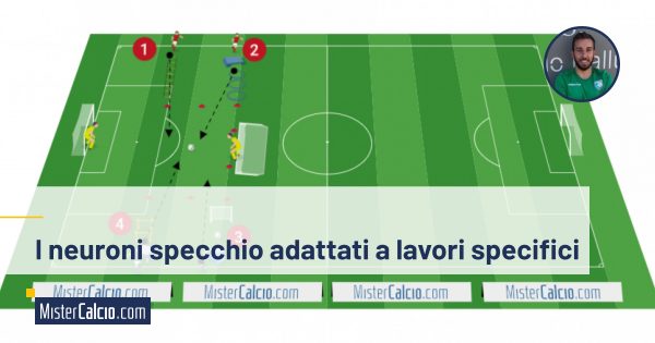 Lavori specifici per i neuroni specchio