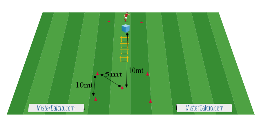 esercitazione di forza sul campo